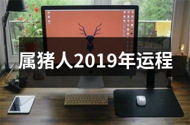 属猪人2019年运程