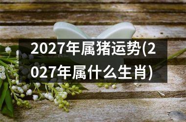 2027年属猪运势(2027年属什么生肖)