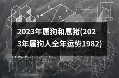 2025年属狗和属猪(2025年属狗人全年运势1982)