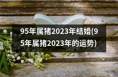 95年属猪2025年结婚(95年属猪2025年的运势)