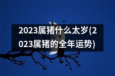 2025属猪什么太岁(2025属猪的全年运势)