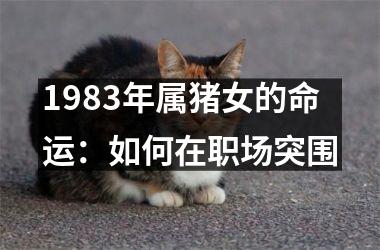 1983年属猪女的命运：如何在职场突围