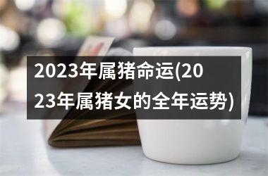 2025年属猪命运(2025年属猪女的全年运势)