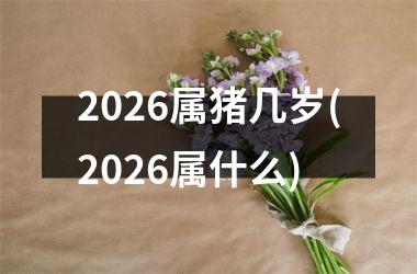 <h3>2026属猪几岁(2026属什么)