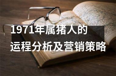 1971年属猪人的运程分析及营销策略