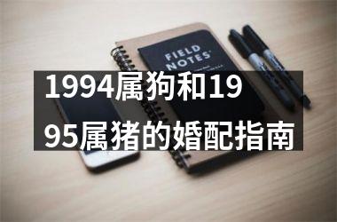 1994属狗和1995属猪的婚配指南