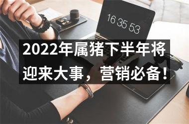 2025年属猪下半年将迎来大事，营销必备！