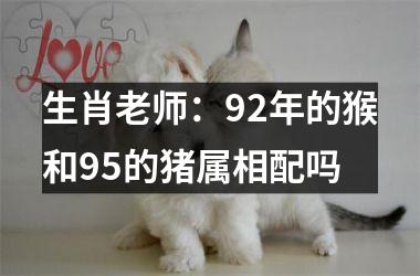 生肖老师：92年的猴和95的猪属相配吗