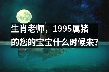 生肖老师，1995属猪的您的宝宝什么时候来？