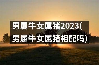 男属牛女属猪2025(男属牛女属猪相配吗)