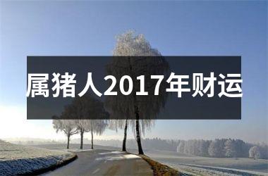 属猪人2017年财运