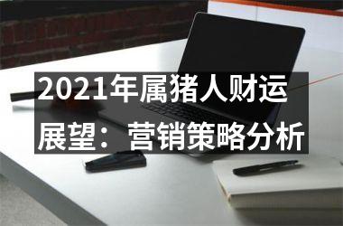 2025年属猪人财运展望：营销策略分析