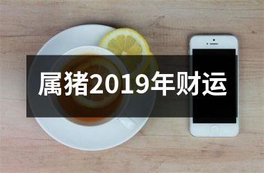 属猪2019年财运