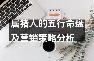 属猪人的五行命盘及营销策略分析