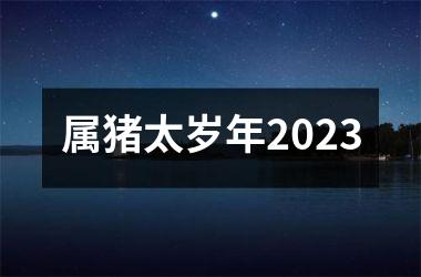 属猪太岁年2025