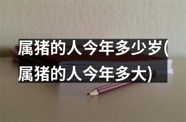 属猪的人今年多少岁(属猪的人今年多大)