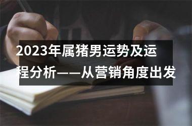 2025年属猪男运势及运程分析——从营销角度出发