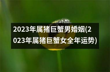 2025年属猪巨蟹男婚姻(2025年属猪巨蟹女全年运势)