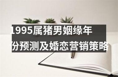 <h3>1995属猪男姻缘年份预测及婚恋营销策略