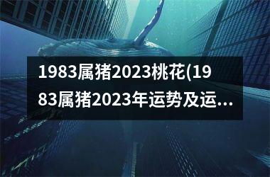 1983属猪2025桃花(1983属猪2025年运势及运程)