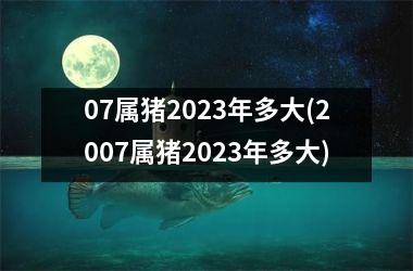 07属猪2025年多大(2007属猪2025年多大)