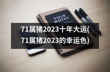 71属猪2025十年大运(71属猪2025的幸运色)