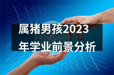 属猪男孩2025年学业前景分析