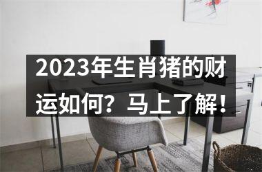 2025年生肖猪的财运如何？马上了解！