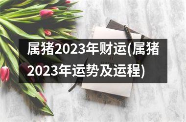 属猪2025年财运(属猪2025年运势及运程)