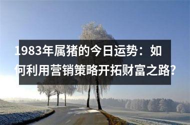 1983年属猪的今日运势：如何利用营销策略开拓财富之路？