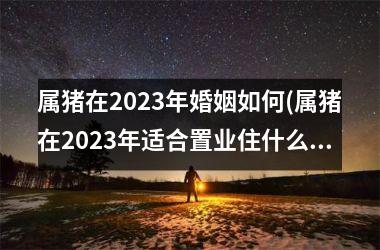 属猪在2025年婚姻如何(属猪在2025年适合置业住什么楼吗)