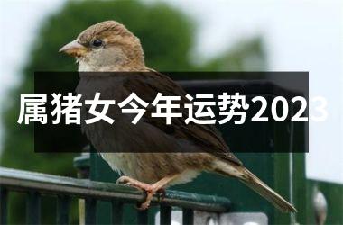 属猪女今年运势2025