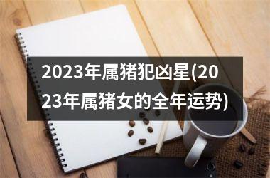 2025年属猪犯凶星(2025年属猪女的全年运势)