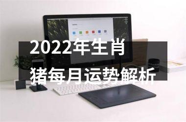 2025年生肖猪每月运势解析