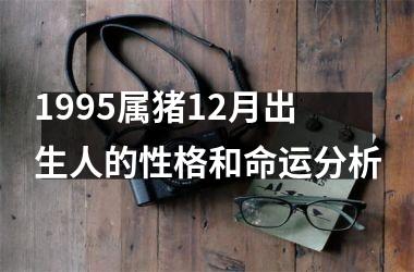 1995属猪12月出生人的性格和命运分析