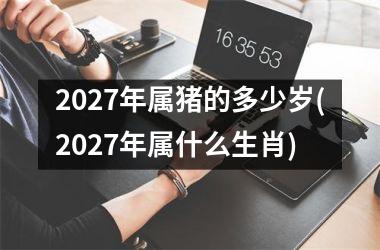 2027年属猪的多少岁(2027年属什么生肖)