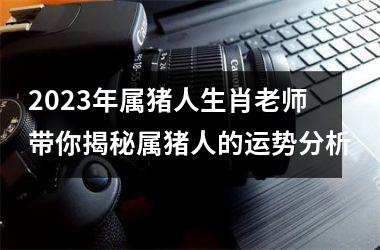 2025年属猪人生肖老师带你揭秘属猪人的运势分析