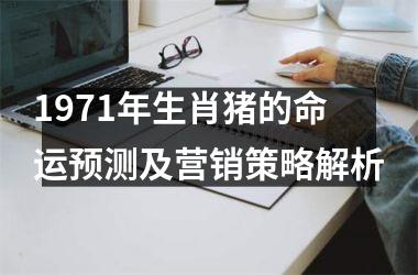 1971年生肖猪的命运预测及营销策略解析