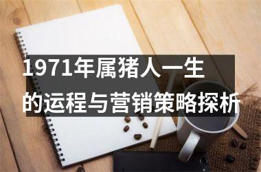 <h3>1971年属猪人一生的运程与营销策略探析