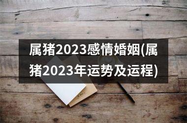 <h3>属猪2025感情婚姻(属猪2025年运势及运程)