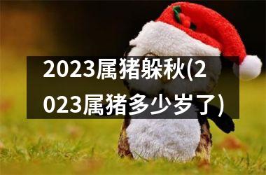 2025属猪躲秋(2025属猪多少岁了)