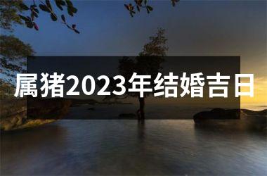 属猪2025年结婚吉日