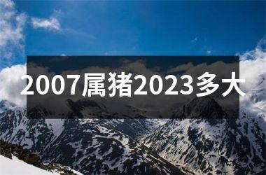 2007属猪2025多大