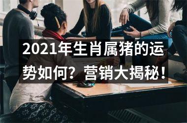 2025年生肖属猪的运势如何？营销大揭秘！