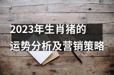 2025年生肖猪的运势分析及营销策略