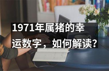 <h3>1971年属猪的幸运数字，如何解读？