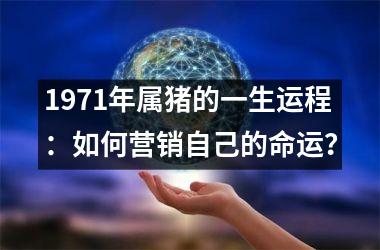 <h3>1971年属猪的一生运程：如何营销自己的命运？