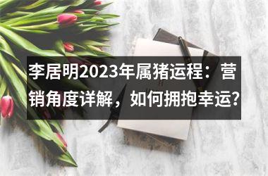 <h3>李居明2025年属猪运程：营销角度详解，如何拥抱幸运？