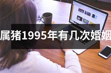 属猪1995年有几次婚姻