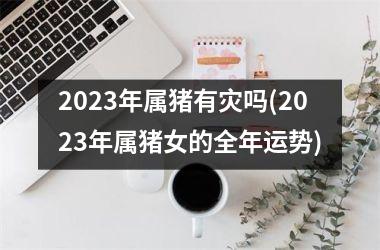 2025年属猪有灾吗(2025年属猪女的全年运势)